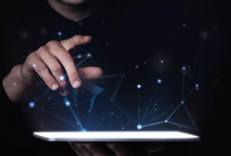 叠鞘石斛和金钗石斛哪个比较好 金钗石斛多少钱一斤